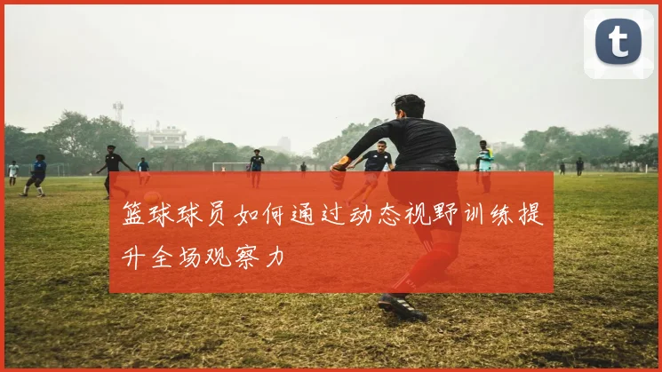 篮球球员如何通过动态视野训练提升全场观察力